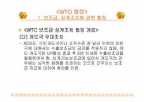 WTO 무역 분쟁 및 협상에 대한 분석-13