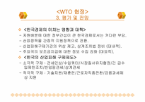 WTO 무역 분쟁 및 협상에 대한 분석-20