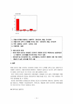 인터넷 검색 포탈 사이트들의 경쟁 마케팅 전략 분석-16