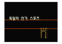 [독일]독일 스포츠의 소개(분데스리가 축구, 핸드볼 F1자동차 경주)와 나의 생각-2