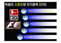 [독일]독일 스포츠의 소개(분데스리가 축구, 핸드볼 F1자동차 경주)와 나의 생각-3