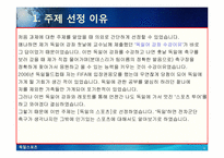 [독일]독일 스포츠의 소개(분데스리가 축구, 핸드볼 F1자동차 경주)와 나의 생각-4