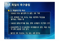 [독일]독일 스포츠의 소개(분데스리가 축구, 핸드볼 F1자동차 경주)와 나의 생각-11