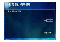 [독일]독일 스포츠의 소개(분데스리가 축구, 핸드볼 F1자동차 경주)와 나의 생각-13