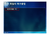 [독일]독일 스포츠의 소개(분데스리가 축구, 핸드볼 F1자동차 경주)와 나의 생각-14