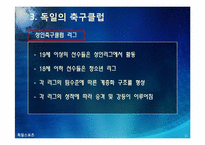 [독일]독일 스포츠의 소개(분데스리가 축구, 핸드볼 F1자동차 경주)와 나의 생각-15