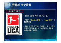 [독일]독일 스포츠의 소개(분데스리가 축구, 핸드볼 F1자동차 경주)와 나의 생각-16