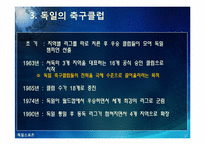 [독일]독일 스포츠의 소개(분데스리가 축구, 핸드볼 F1자동차 경주)와 나의 생각-17