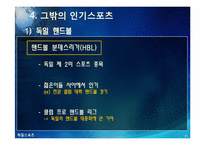 [독일]독일 스포츠의 소개(분데스리가 축구, 핸드볼 F1자동차 경주)와 나의 생각-20