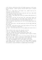 스와치의 마케팅 전략 분석-14