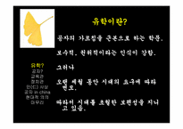 공자 철학 사항-2