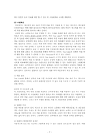 사업계획서 레포트-7