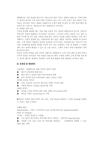 대한항공의 마케팅 전략 분석-18