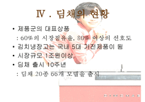 위니아 딤채의 성공 마케팅 전략 분석-13