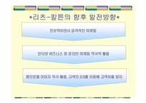 리츠 칼튼 서울 호텔(The Ritz-Carlton Seoul)의 STP 마케팅 전략 분석-15
