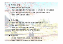 문화 컨텐츠 산업에 대한 마케팅 전략 분석-13