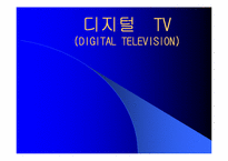 디지털 TV의 마케팅 경영 전략 분석-1
