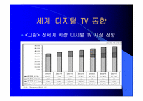 디지털 TV의 마케팅 경영 전략 분석-14