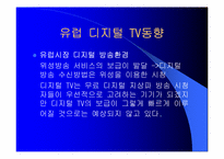 디지털 TV의 마케팅 경영 전략 분석-18