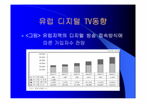 디지털 TV의 마케팅 경영 전략 분석-19