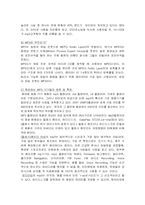 mp3 시장의 마케팅 전략 분석-3