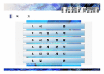웅진의 성공적인 광고 마케팅 경영 전략 분석-2