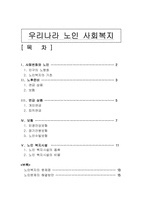 [교양]한국의 노인복지 방안-1