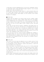미국에 대한 단상-3