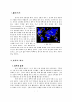 호주의 역사 레포트-2