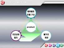 라스베가스 호텔 및 카지노 산업-17