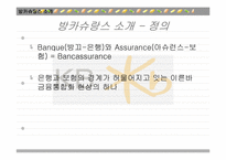 국민은행의 방카쉬랑스(Bancassurance) 마케팅 전략 분석-11