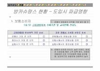 국민은행의 방카쉬랑스(Bancassurance) 마케팅 전략 분석-20