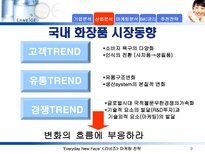 라네즈(태평양 화장품)의 마케팅 전략 분석-9