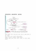 면역(immune system)-18