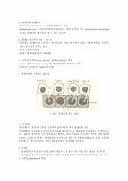 종양면역(Tumor Immunology)-8