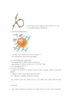 종양면역(Tumor Immunology)-11