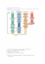 종양면역(Tumor Immunology)-12
