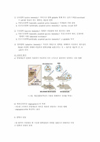 종양면역(Tumor Immunology)-13