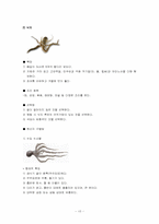 수산물 유통, 감별법, 수산물 유통, 수산물 종류-10