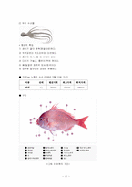 수산물 유통, 감별법, 수산물 유통, 수산물 종류-11