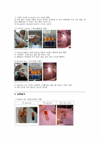 탄수화물 정성실험-3