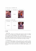 탄수화물 정성실험-4