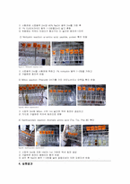 단백질 정성반응 실험-3