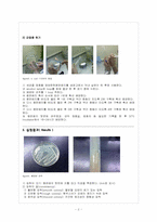 [미생물학실험] 미생물 배양법(배지제조, 균접종법)-2