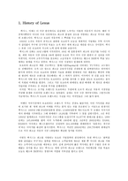 TOYOTA의 광고 마케팅 전략 분석-3