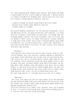 TOYOTA의 광고 마케팅 전략 분석-11