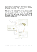TOYOTA의 광고 마케팅 전략 분석-17