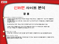 전자상거래 과제물 농심 웹사이트 분석-10