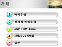 선택적복리후생-3