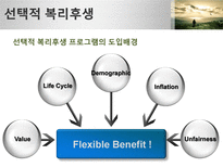 선택적복리후생-11